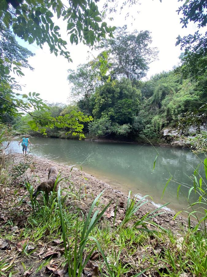 A Piece Of Paradise San Carlos Luaran gambar