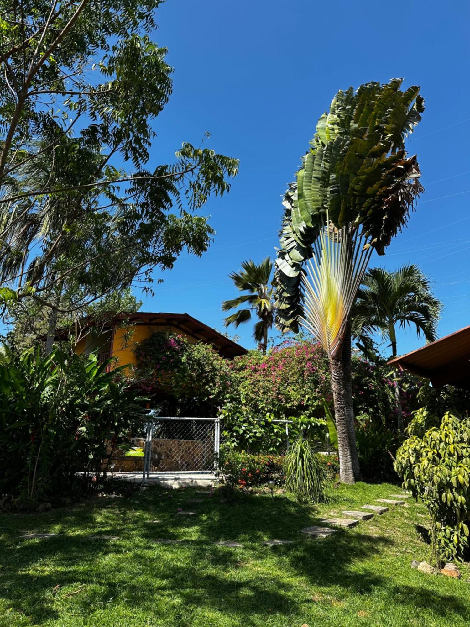 A Piece Of Paradise San Carlos Luaran gambar