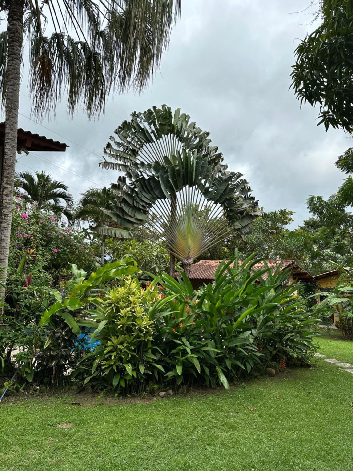 A Piece Of Paradise San Carlos Luaran gambar