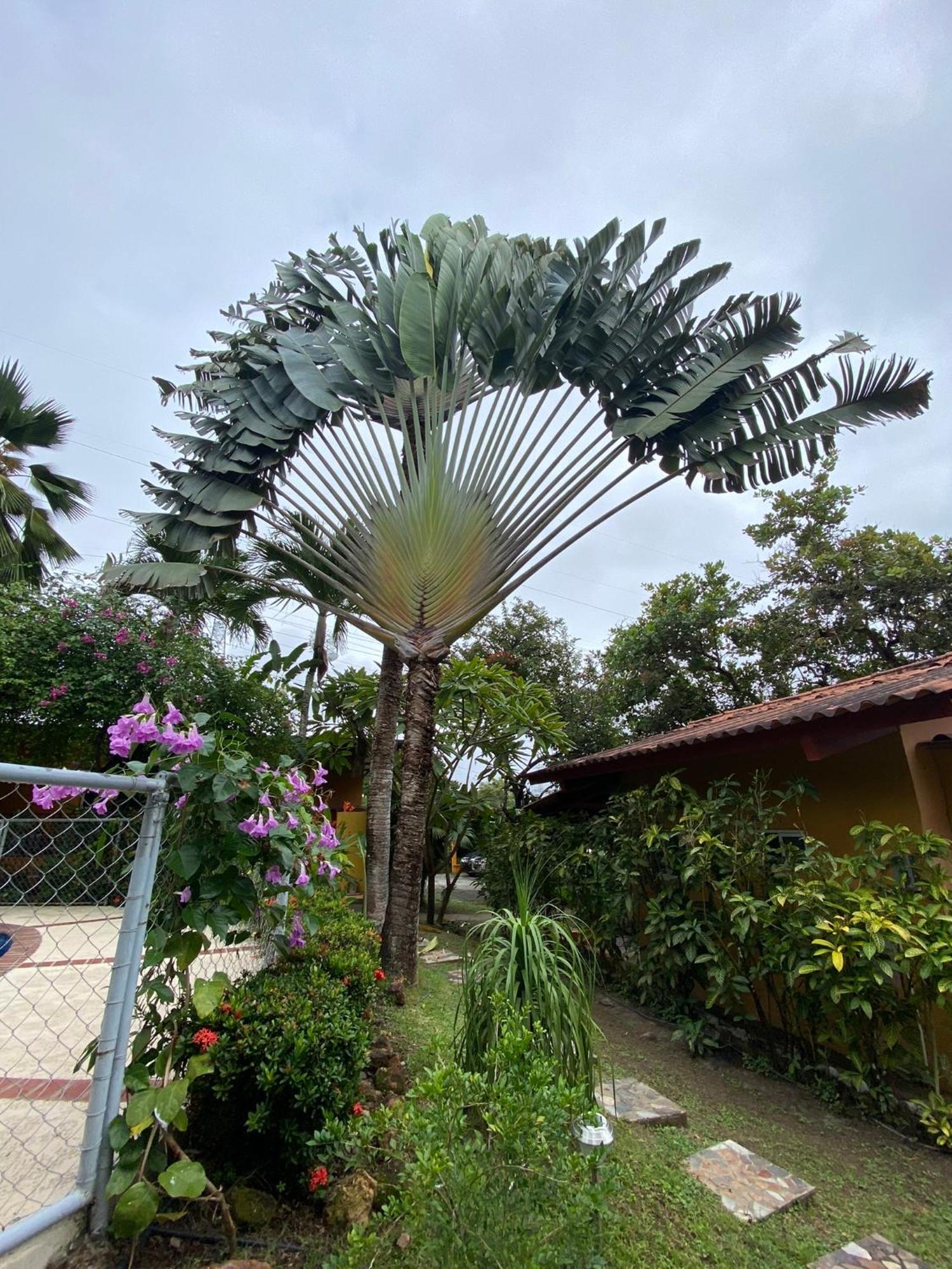 A Piece Of Paradise San Carlos Luaran gambar