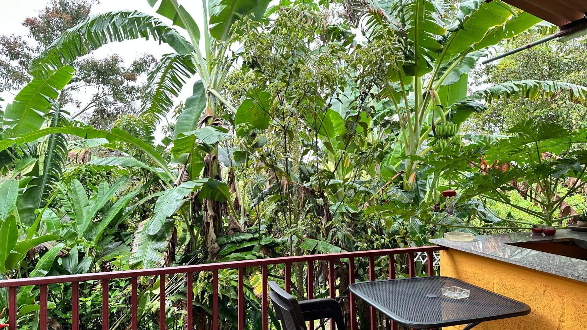 A Piece Of Paradise San Carlos Luaran gambar